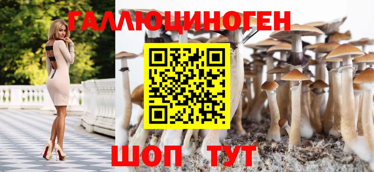 МДМА  ГАШ  COCAIN  Кетамин  Бахчисарай  МАРИХУАНА  ГАШ  Меф МЯУ МЯУ кристаллы  Альфа ПВП СОЛЬ   Вход с VPN 