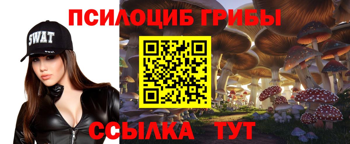 Псилоцибиновые грибы GOLDEN TEACHER Бахчисарай